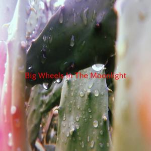 Big Wheels In The Moonlight - Dan Seals (PT karaoke) 带和声伴奏