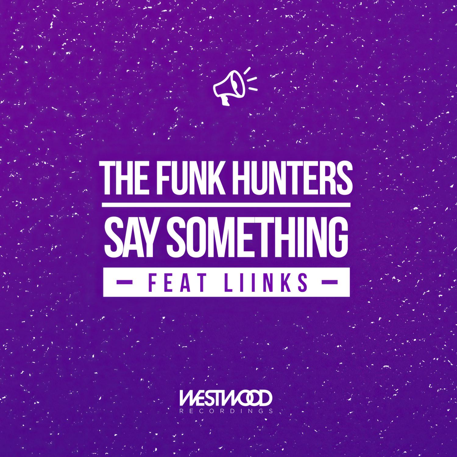 The Funk Hunters - Say Something (feat. LIINKS)