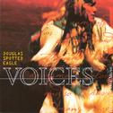 Voices专辑