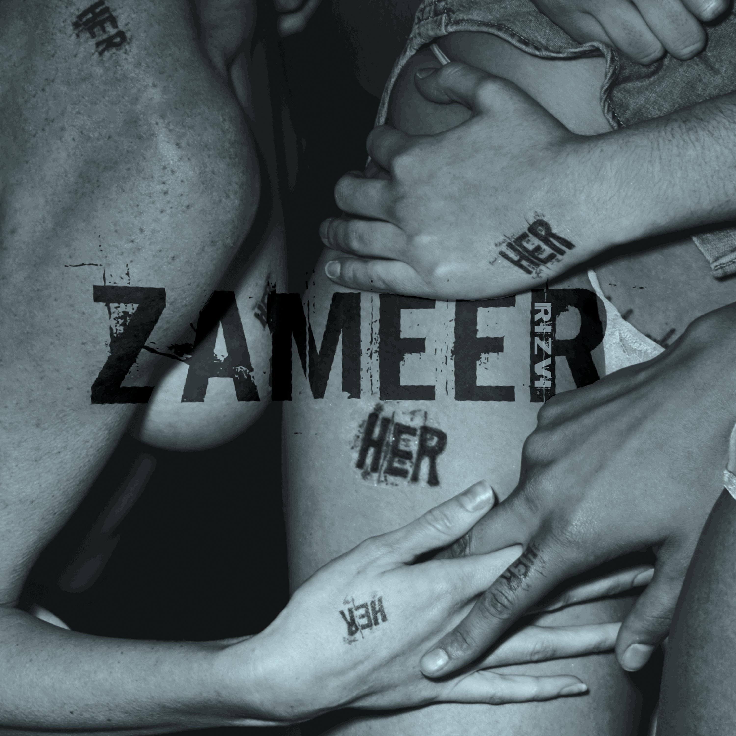 Zameer Rizvi - Take