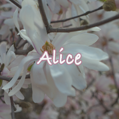 Alice