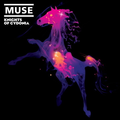 Knights Of Cydonia