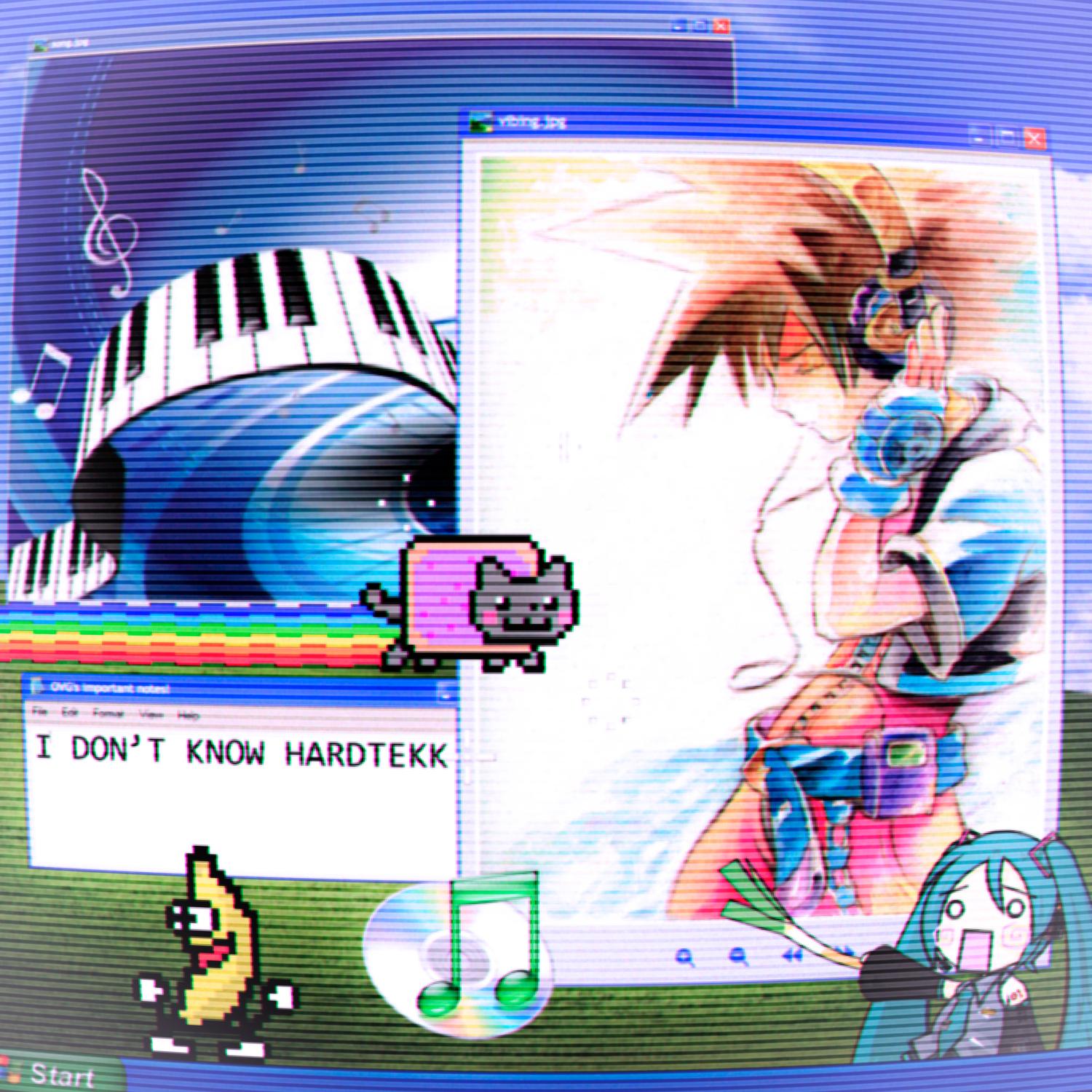 I DON'T KNOW HARDTEKK