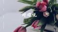 对你说专辑