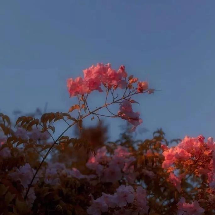 Tracing「Lil Peep type」