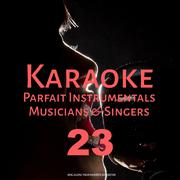 Karaoke Parfait Instrumentals Musicians & Singers, Vol. 23专辑