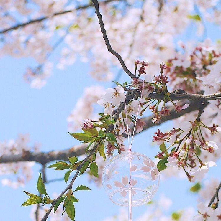 『春』最适合春天听的歌