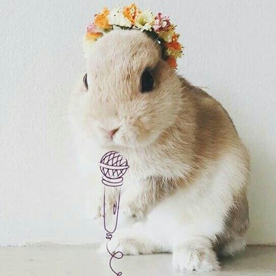 ▼开口跪前奏跪的曲子▲