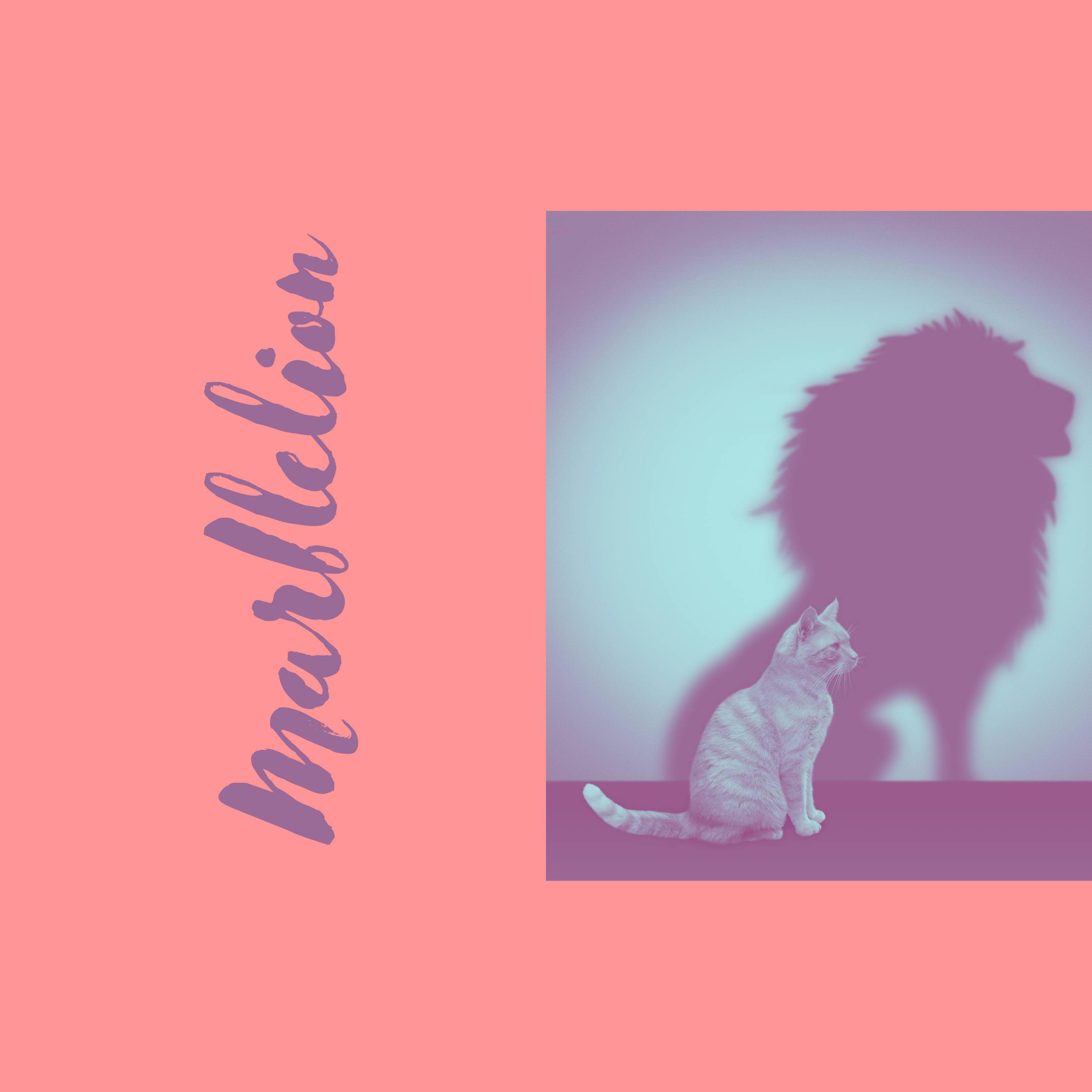 Marble Lion Songs