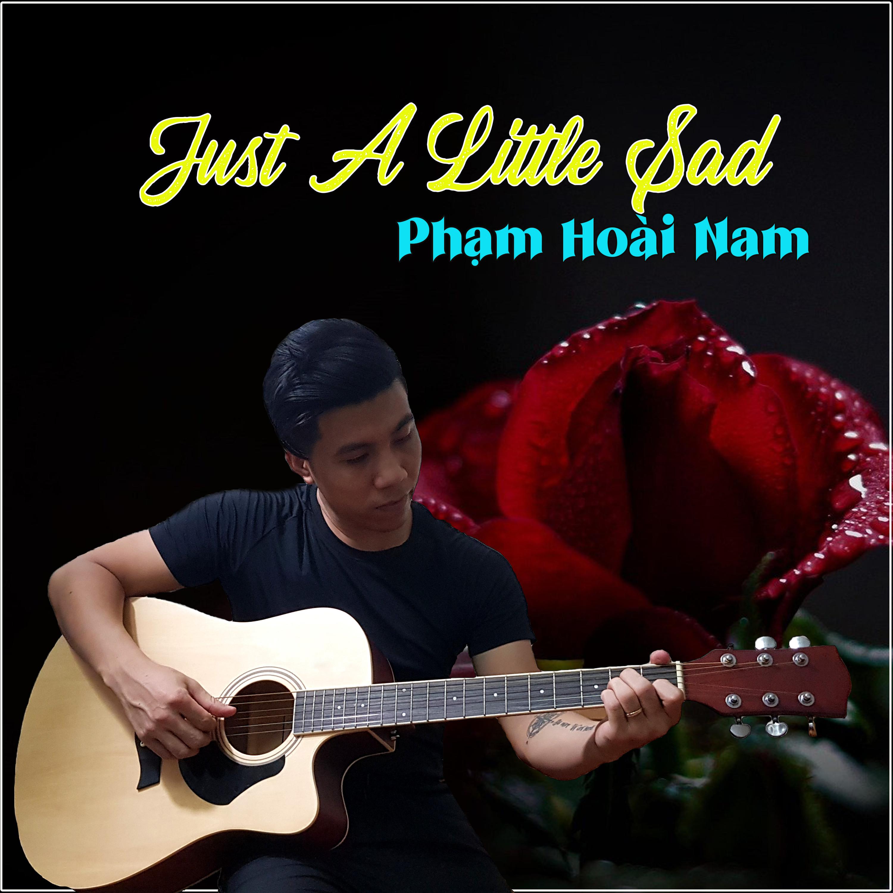 Phạm Hoài Nam - Just A Little Sad