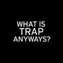 [Free]Real Hybrid Trap专辑