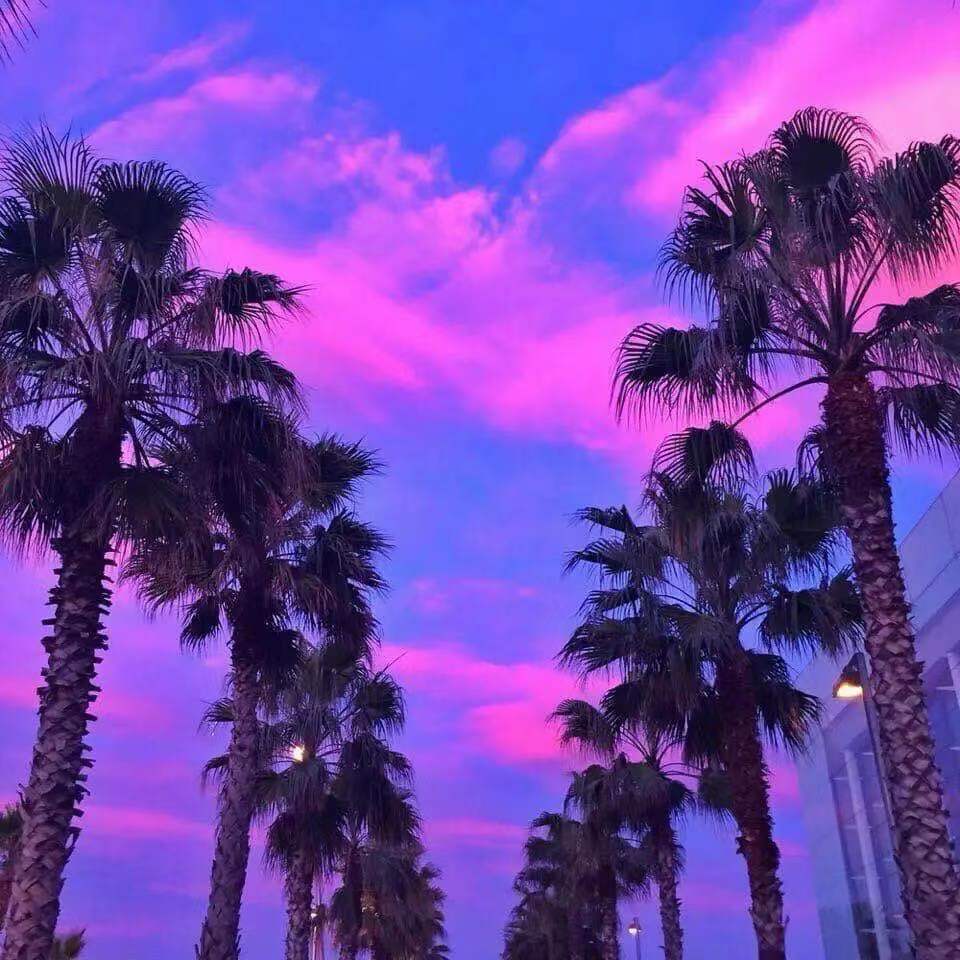 sky清吧歌单