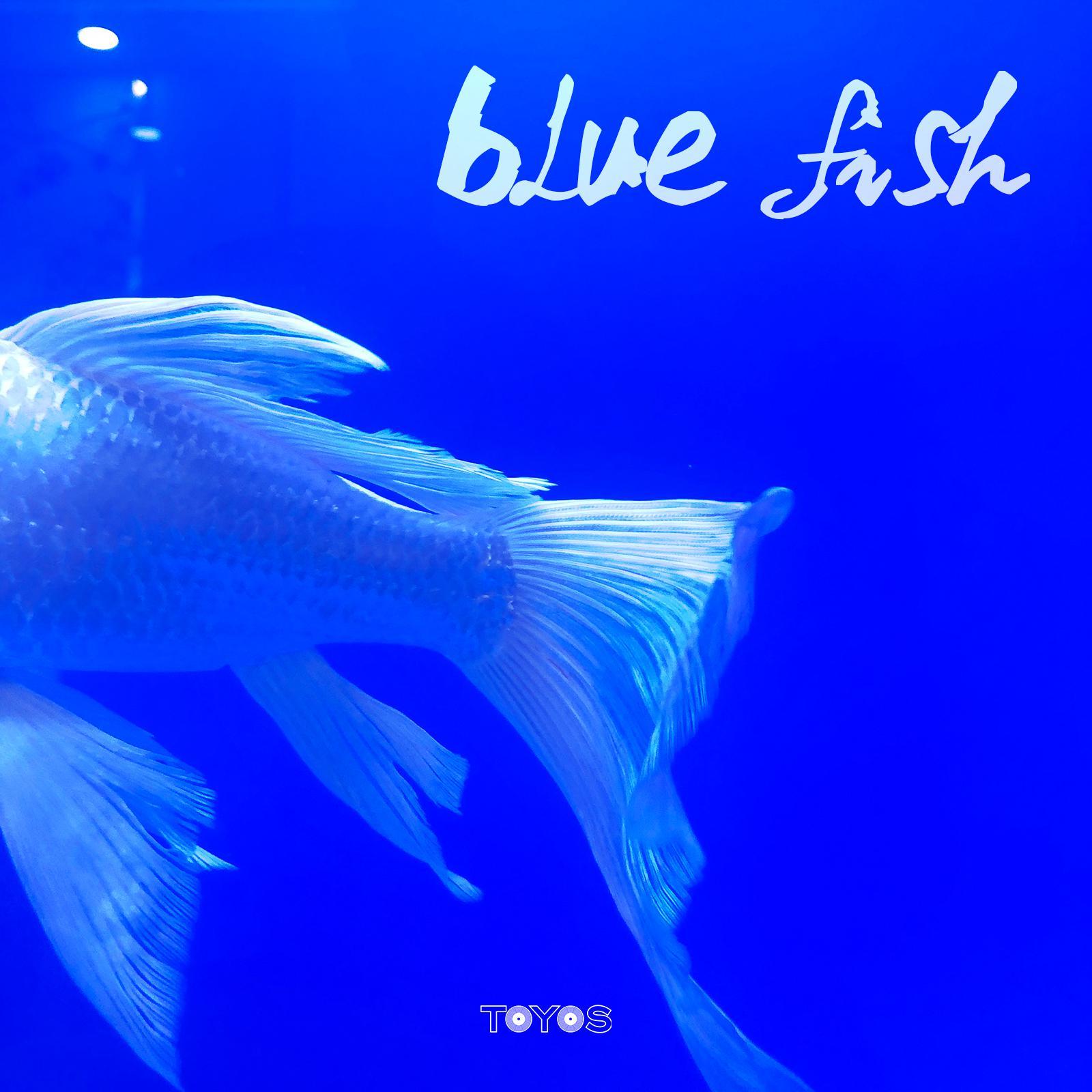 BLUE FISH