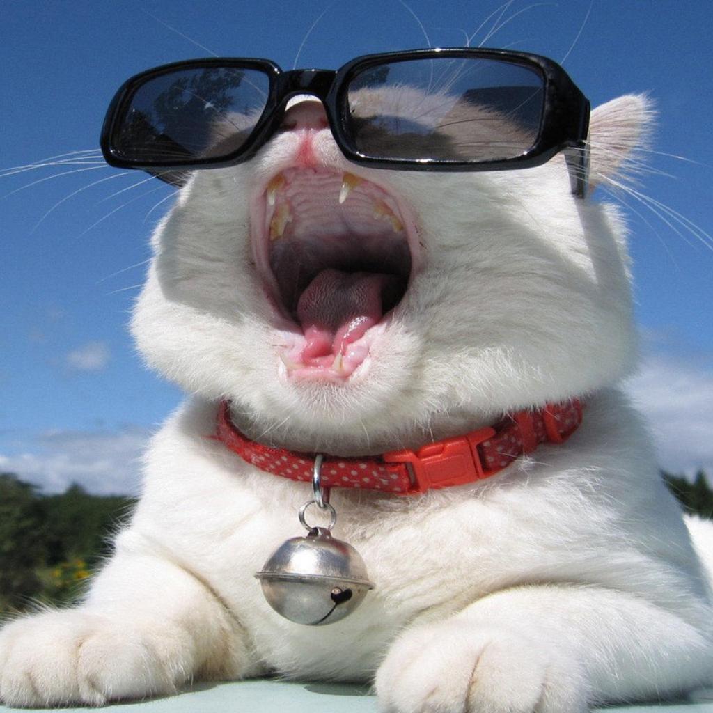 【抽奖】背景音乐 | 在线播放 | 网易云音乐