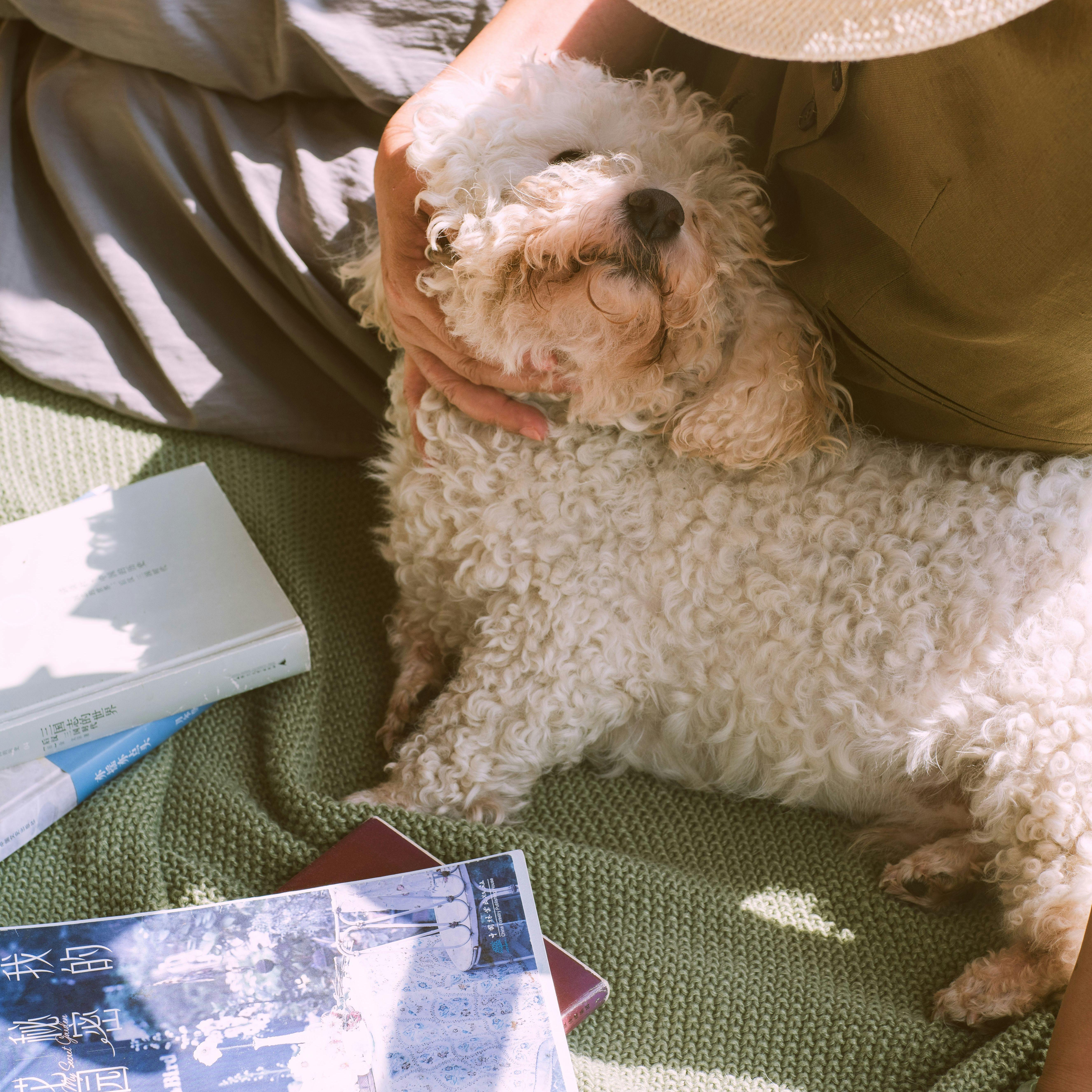 赛博霓虹下的金属
