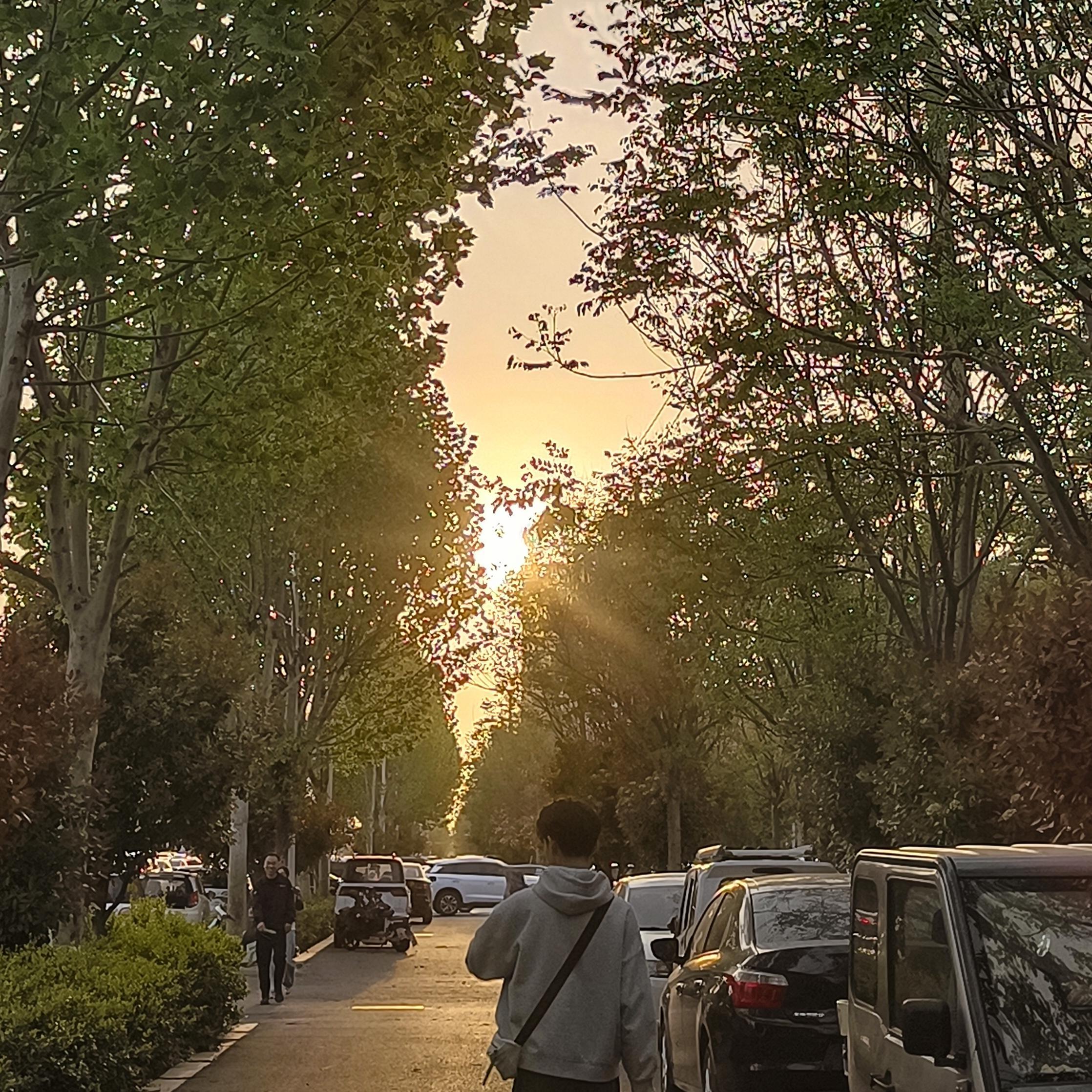 石头不会有糖的温度