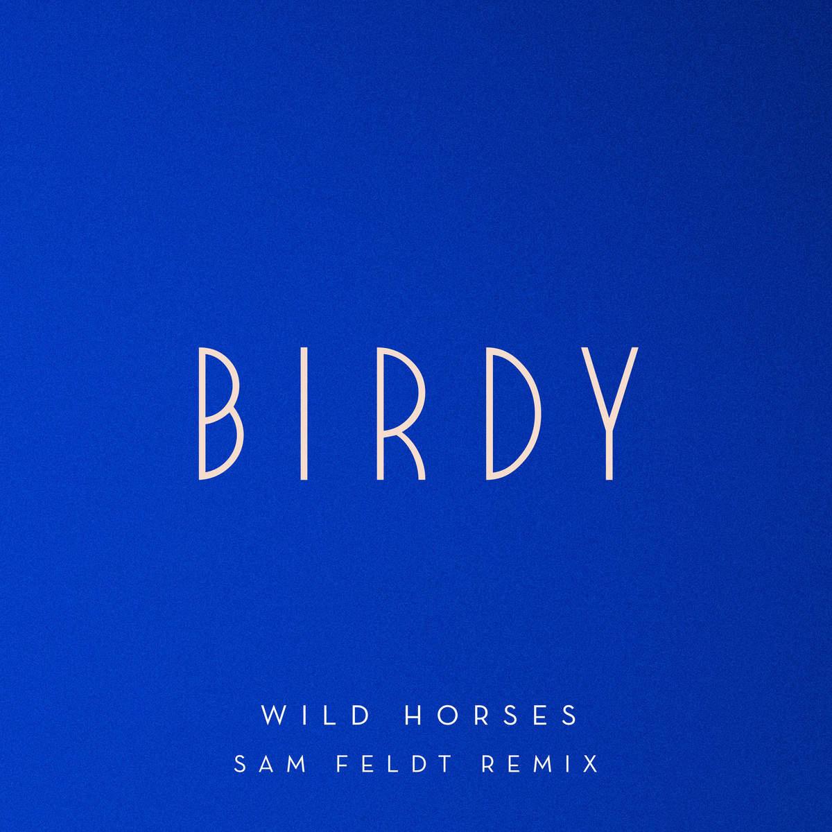 Wild Horses (Sam Feldt Remix)专辑