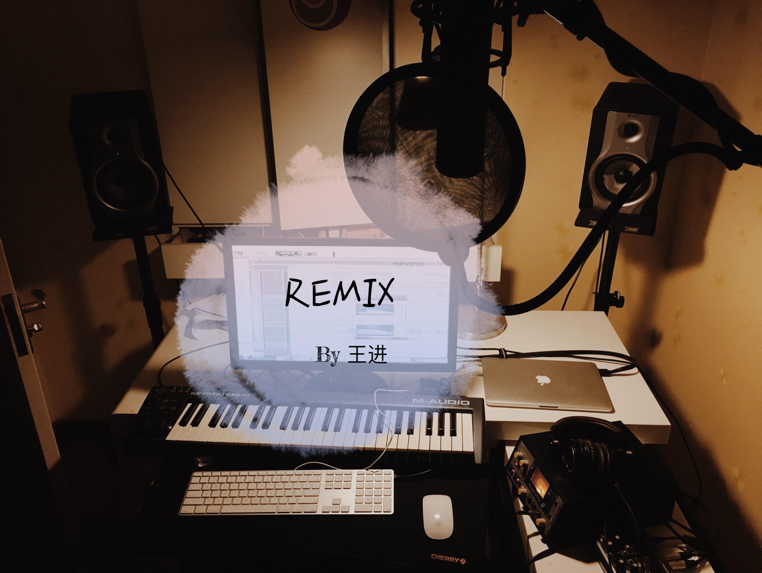 王进 REMIX专辑