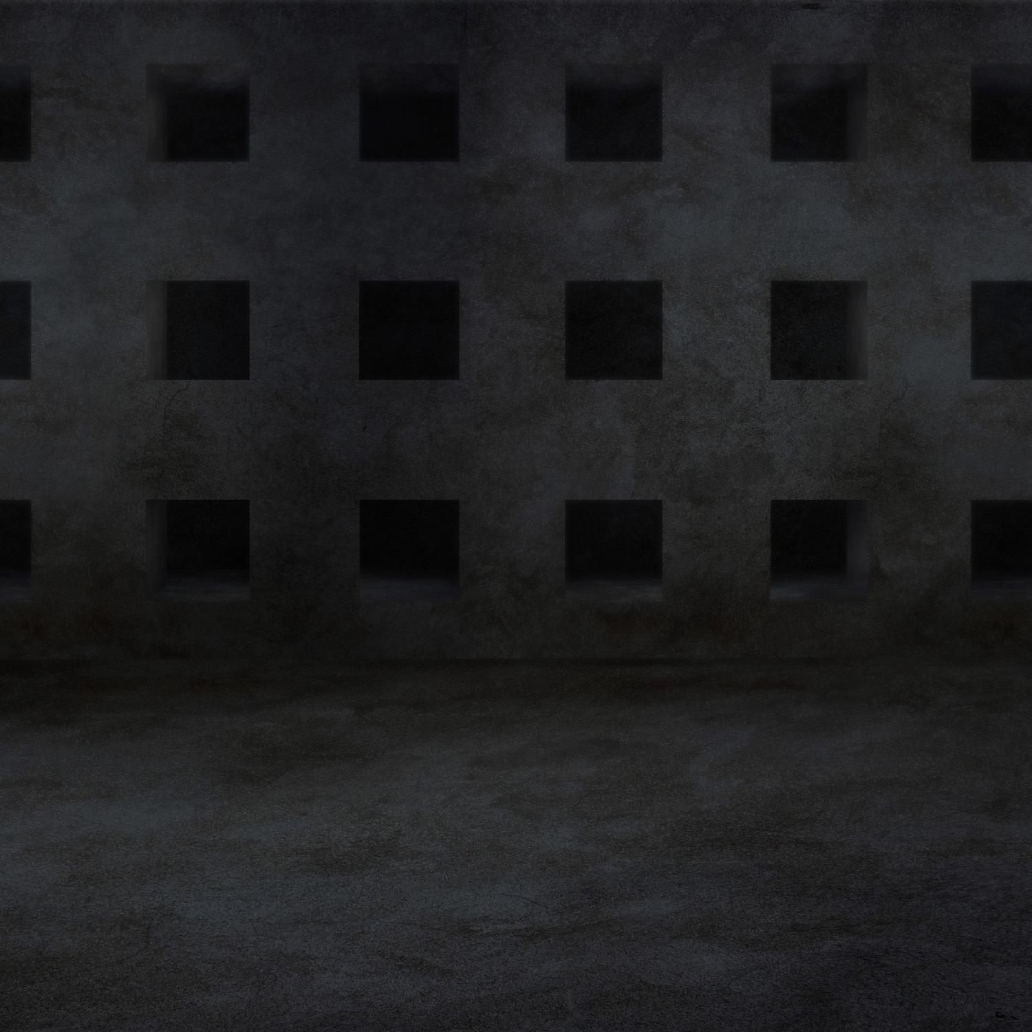 In the Praise of Shadows
