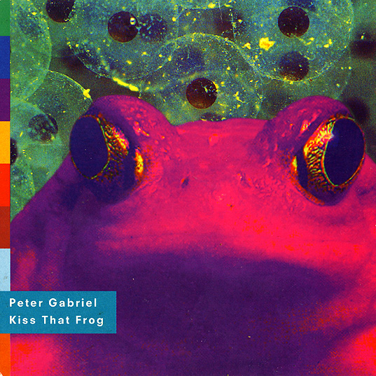 Kiss That Frog (Edit Of Album Version)