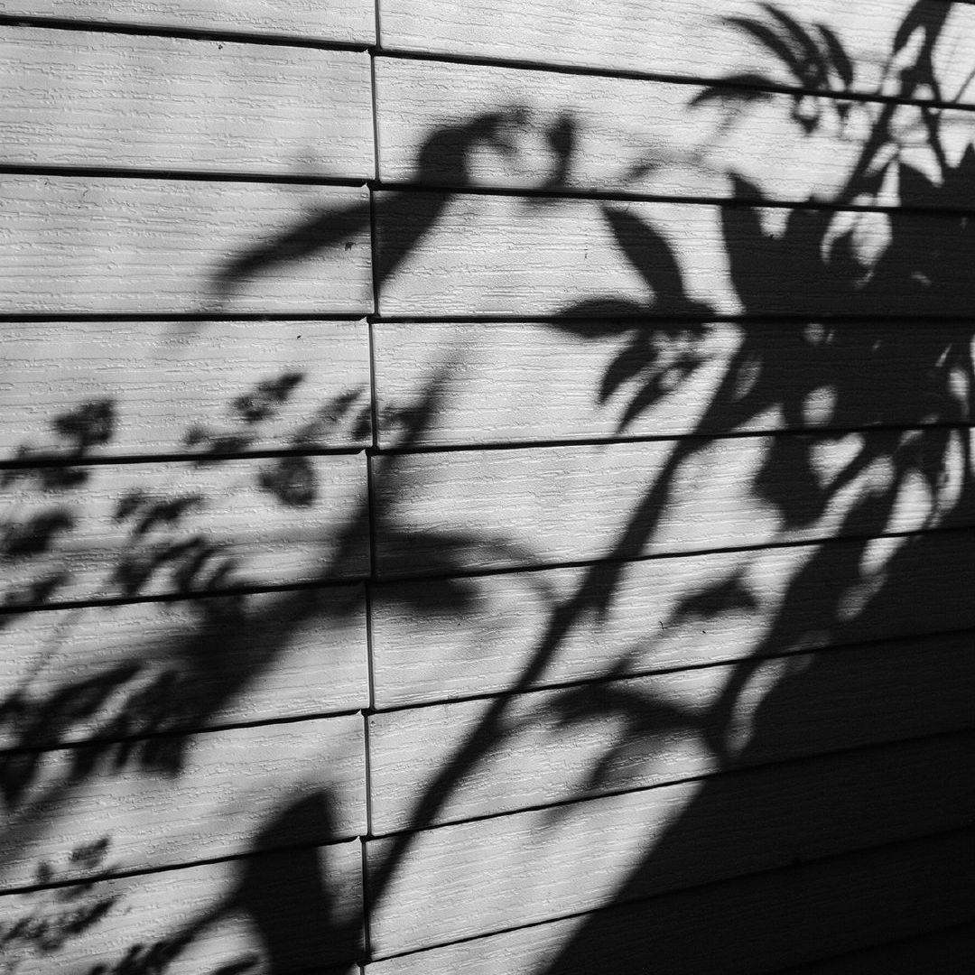 生命之名(电影《千与千寻》主题曲)