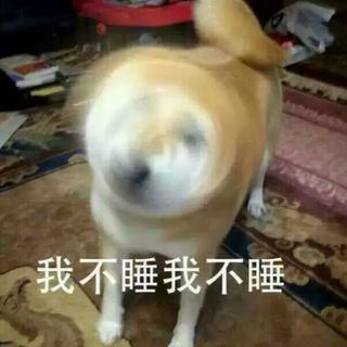 起床铃了解一下|室友在提刀来的路上