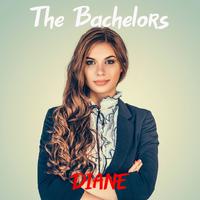 The Bachelors,- Diane (karaoke)