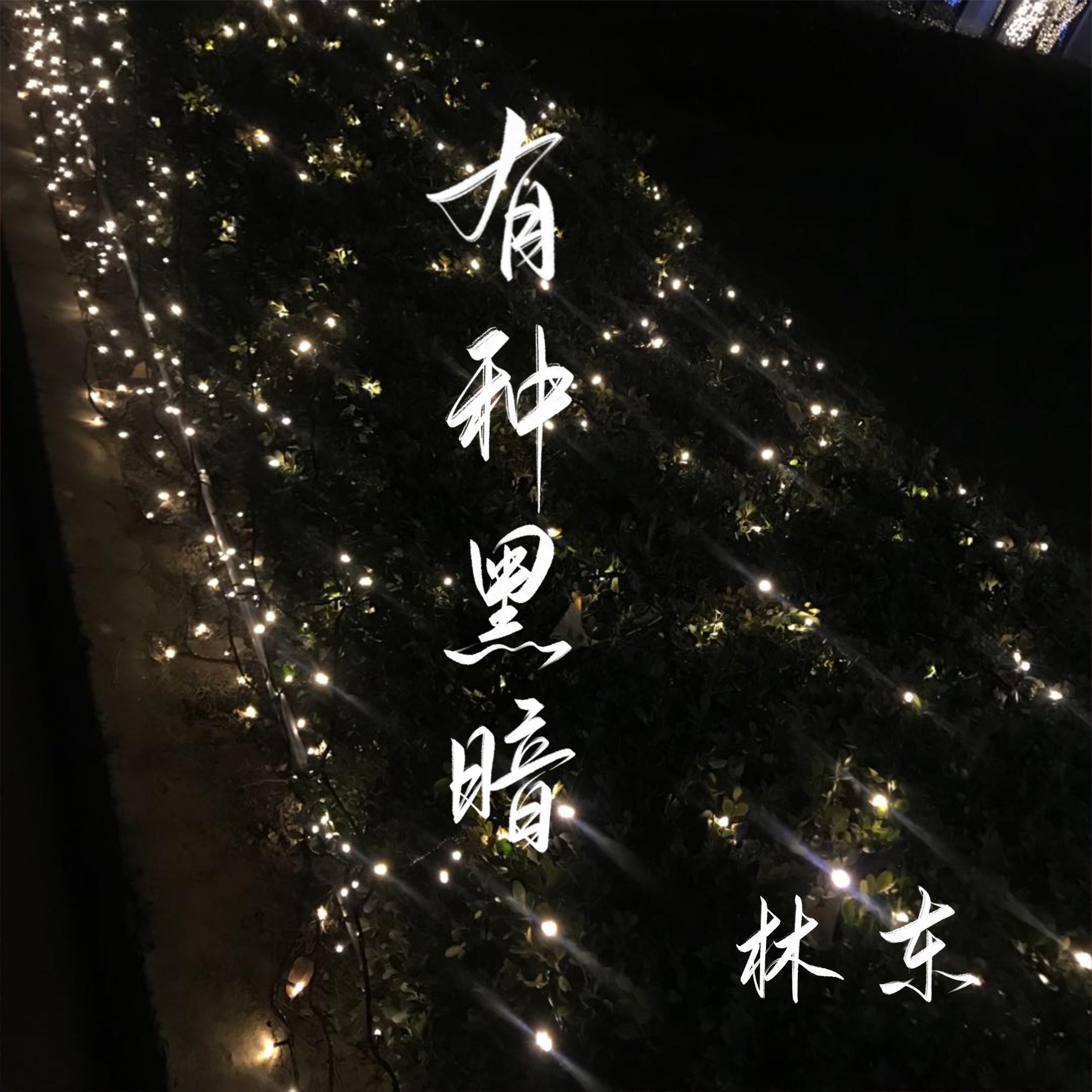 林东 - 有种黑暗