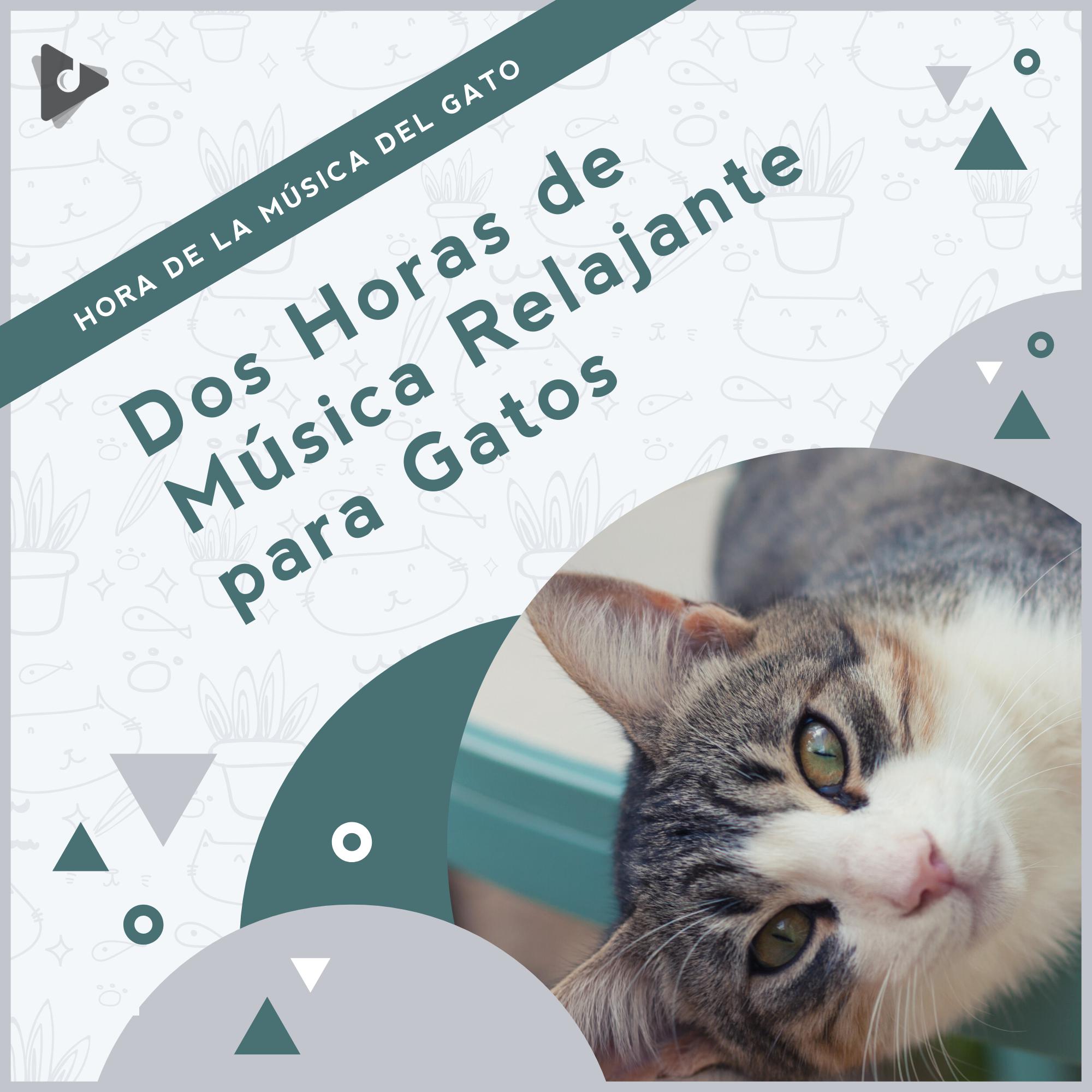 Hora de la Música del Gato - Ambiente de fondo para gatos