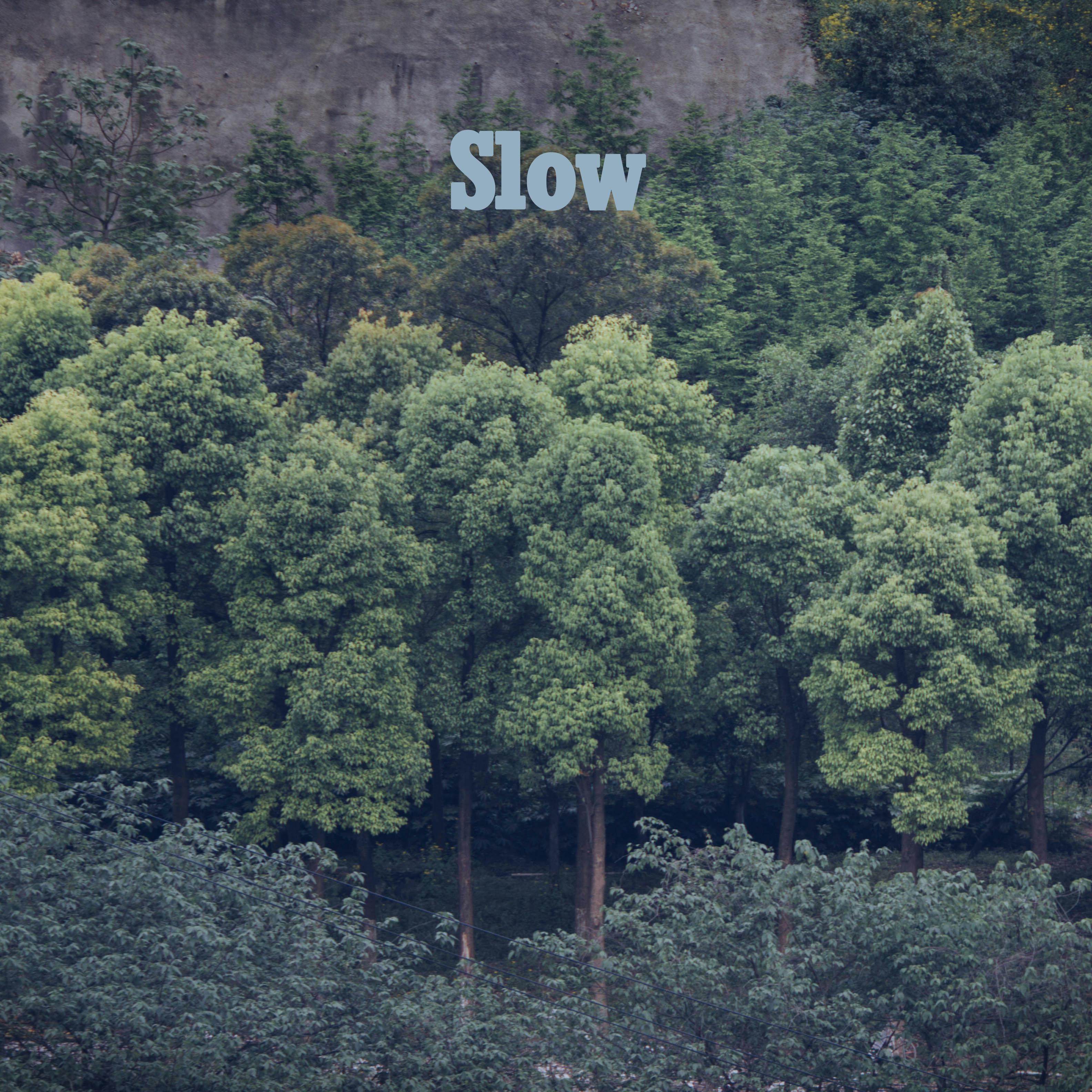 SLOW专辑