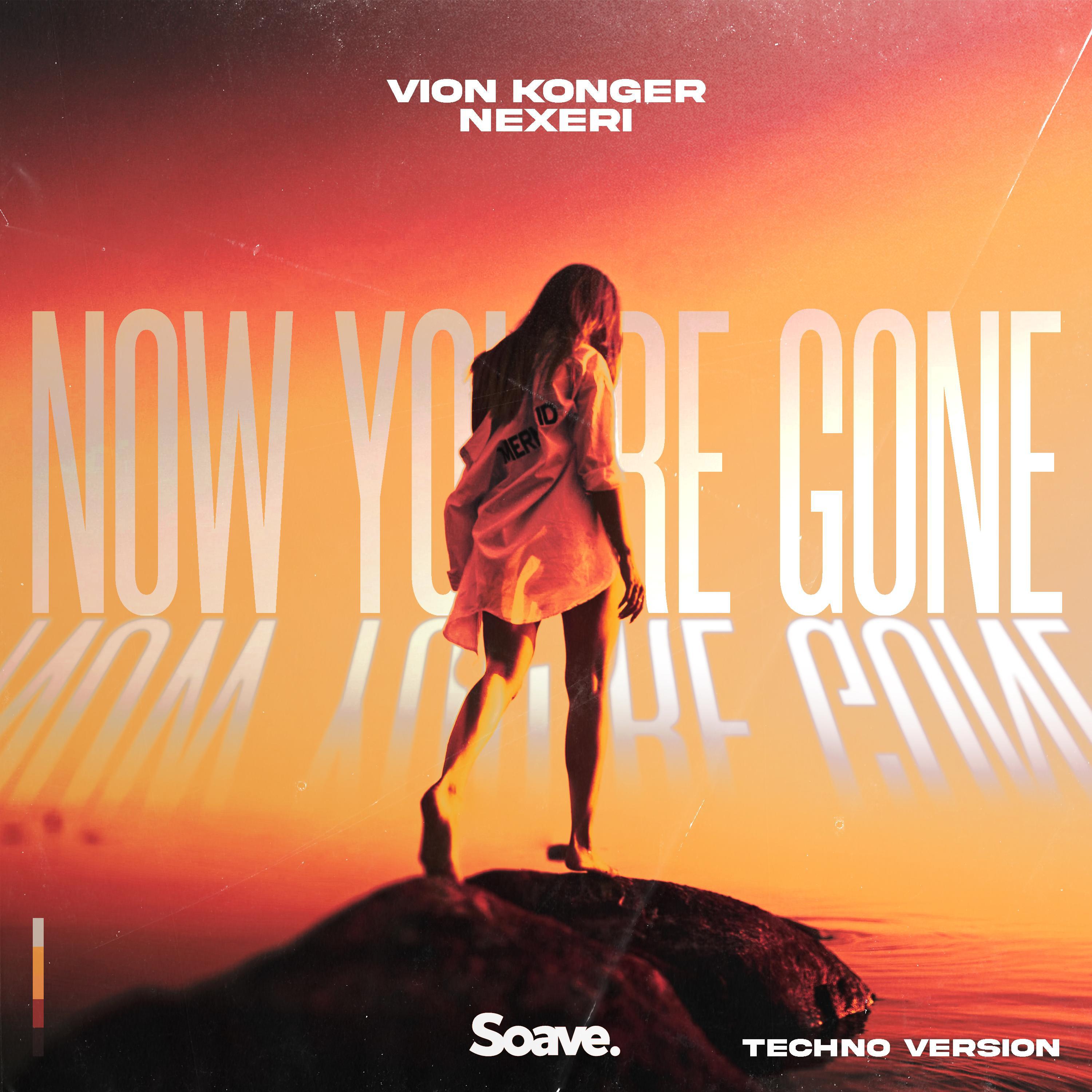 Vion Konger - Now You're Gone (Techno Version)