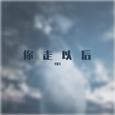 你走以后