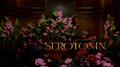Serotonin专辑