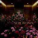 Serotonin