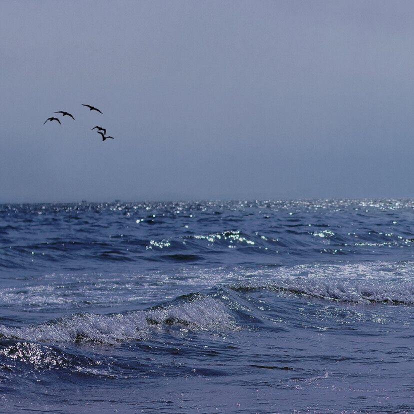 星星还是那么亮（抖音热播)