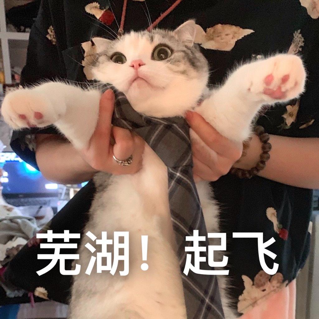 戴上耳机(๑˃̵ᴗ˂̵)小世界运转起来！