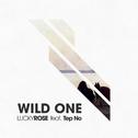 Wild One专辑