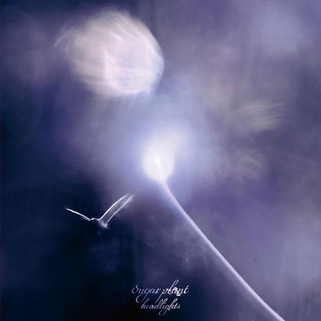 headlights