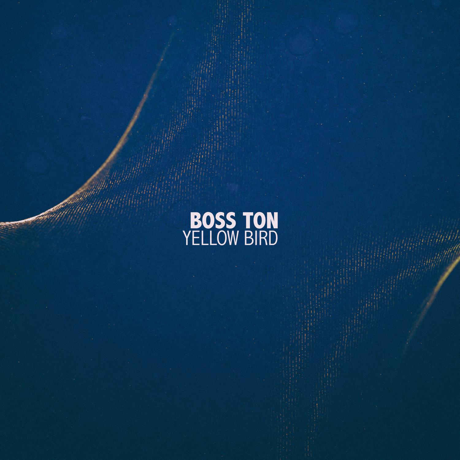 Boss Ton - Yellow Bird (Kleist Andreson Remix)