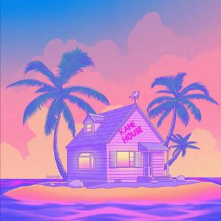 ▷城市浪漫运作|想去没人的岛 摸摸鲨鱼的角