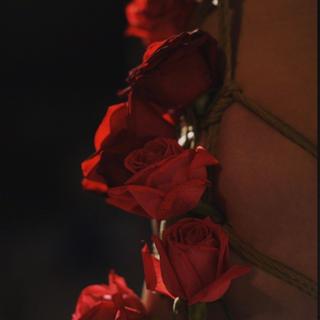 摘下红花送伊人