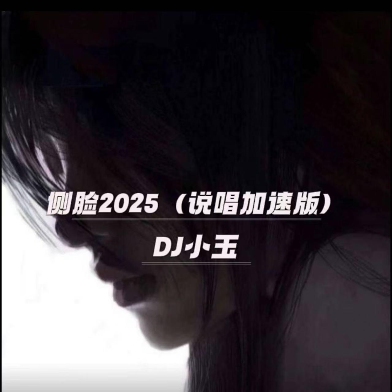 侧脸2025（说唱加速版）