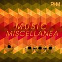 Music Miscellanea - Vol. 17专辑