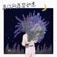 韩小欠 - 愿你所愿皆如意(原版带和声伴奏)