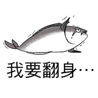 纯音乐｜本人学习歌单（一）