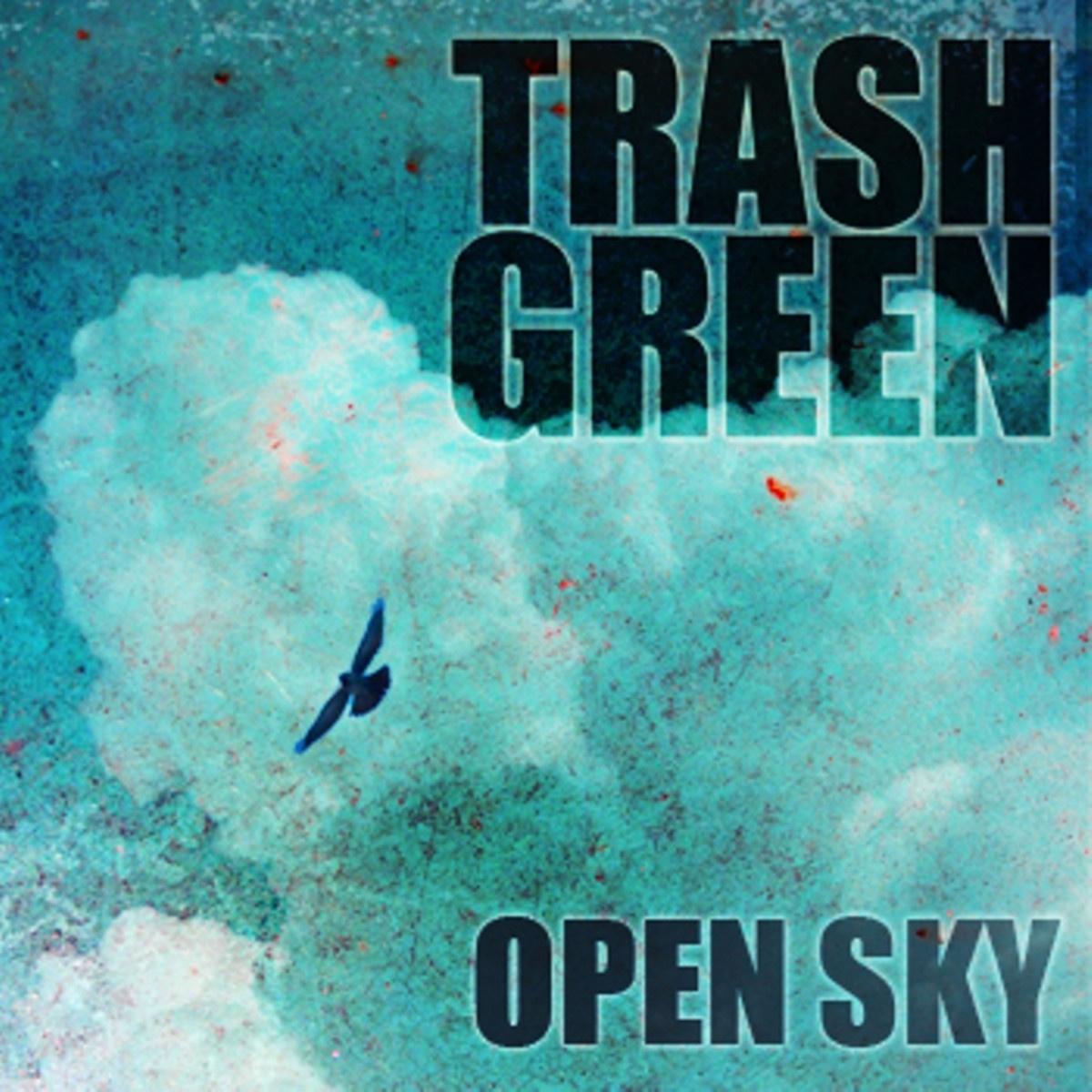 Open Sky