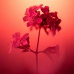 爱到尽头（撕心裂肺）