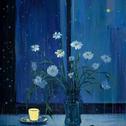 夜樱雨专辑