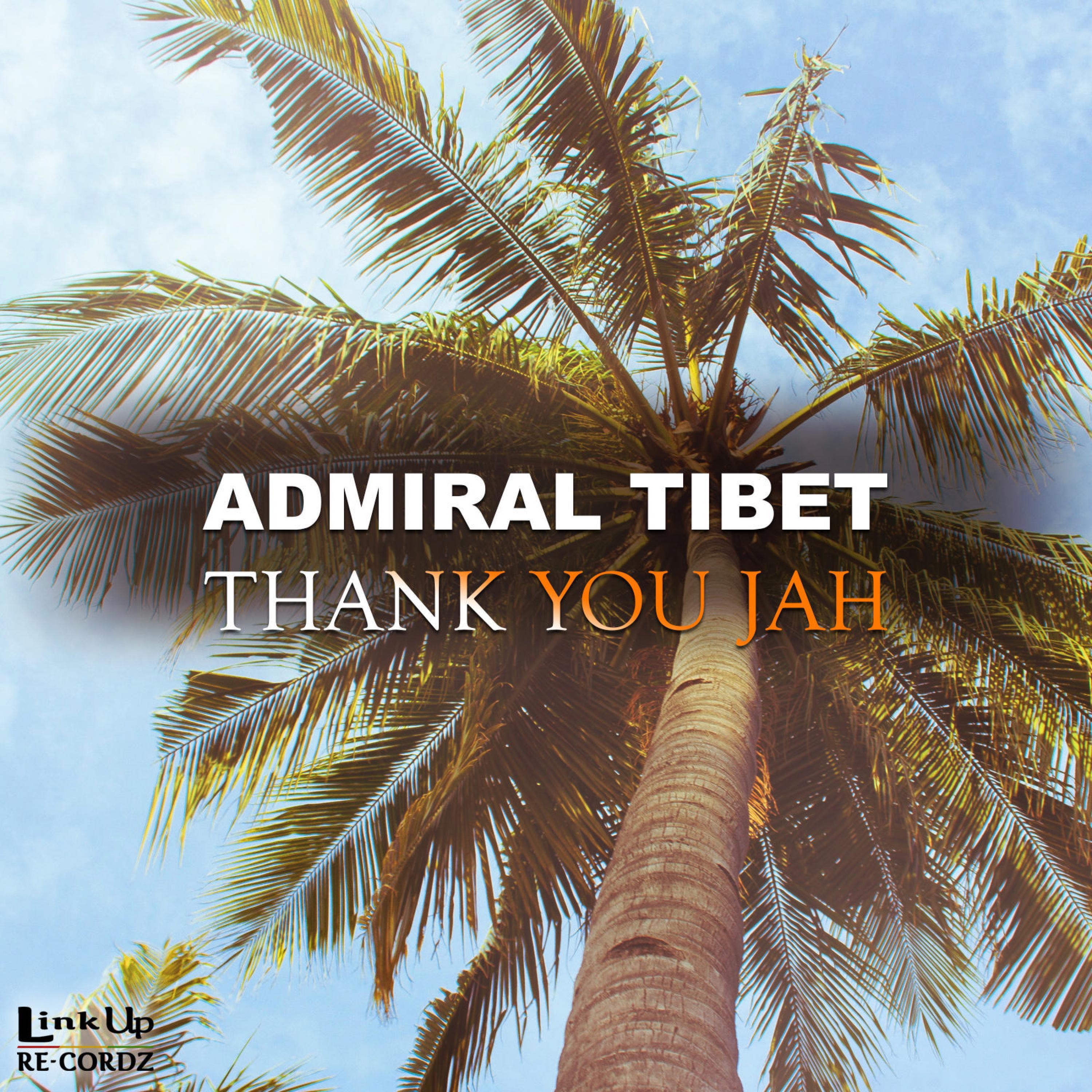 Thank You Jah (Remix)