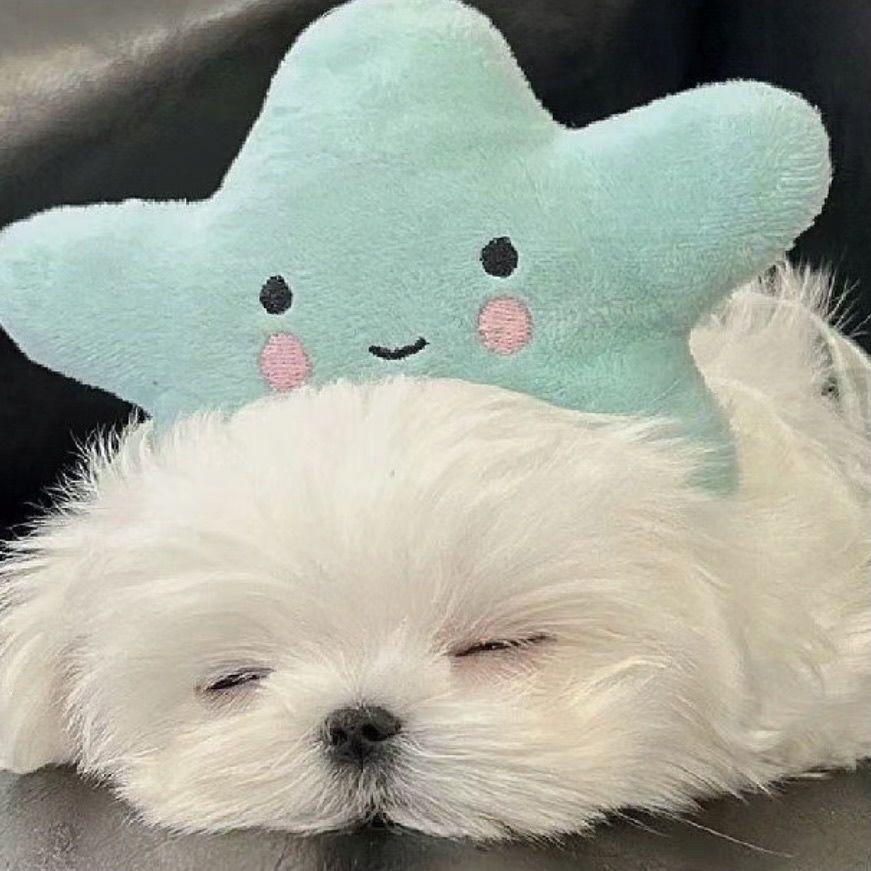 朴树-平凡之路（remix）